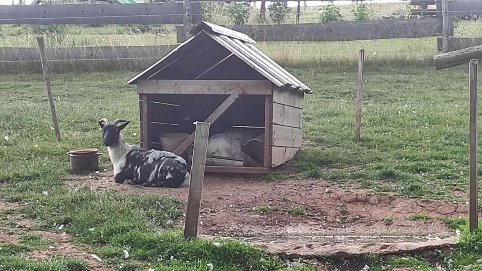 Apartmán na statku Červený Kostelec Exterior foto